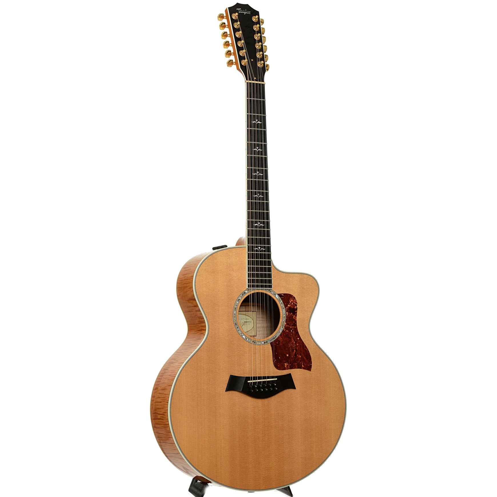 Full front and side of Taylor 655-CE 12-String Acoustic-Electric Guitar