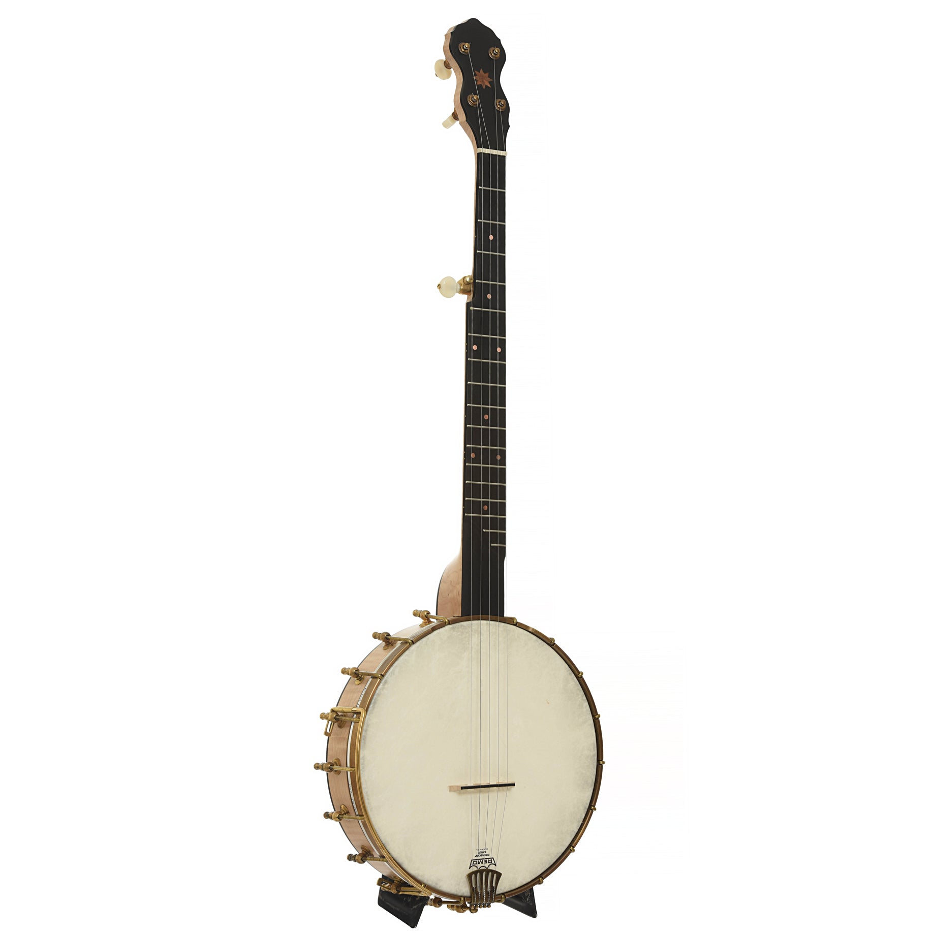 Full front and side of Pisgah Laydie Openback Banjo