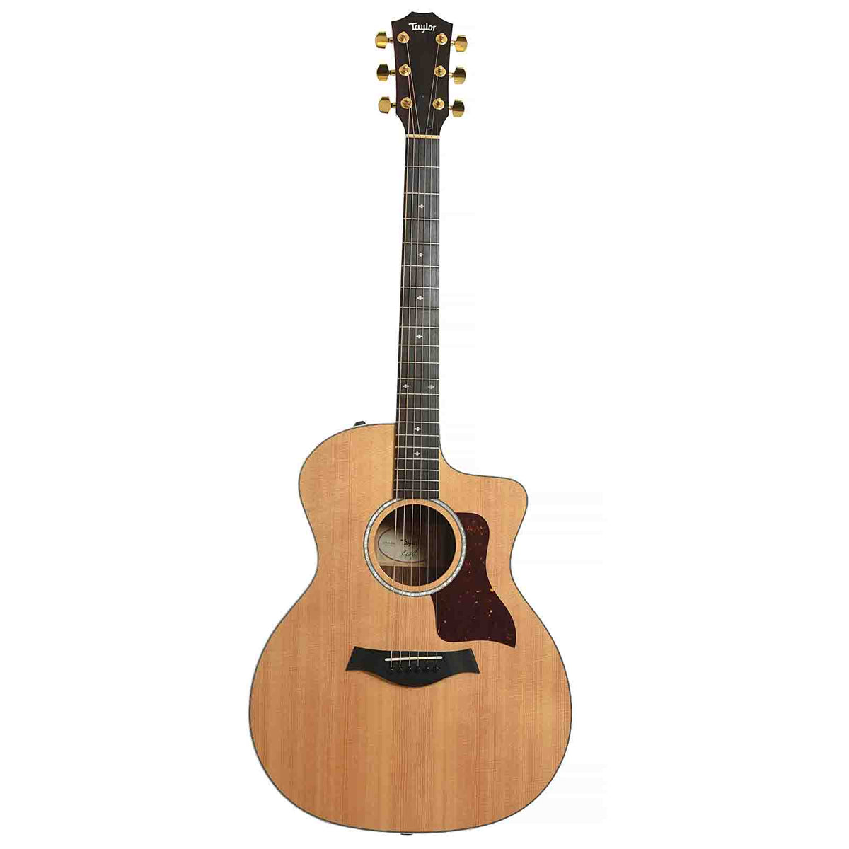 Full front of Taylor 214ce DLX