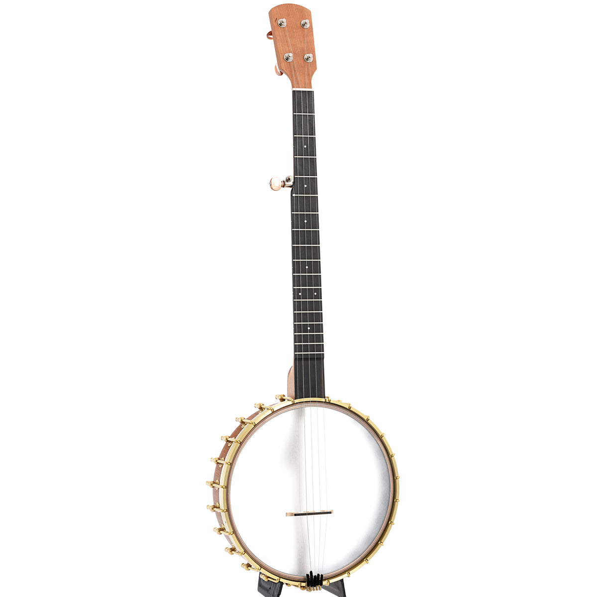 Full front and side of Ode Moonlight 11" Openback Banjo