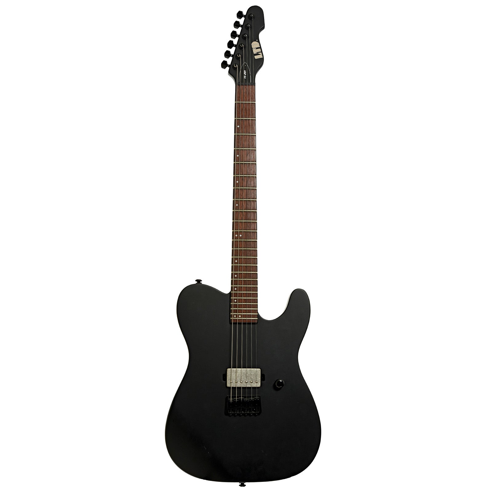 ESP LTD TE-201 Electric Guitar (2020) – Elderly Instruments
