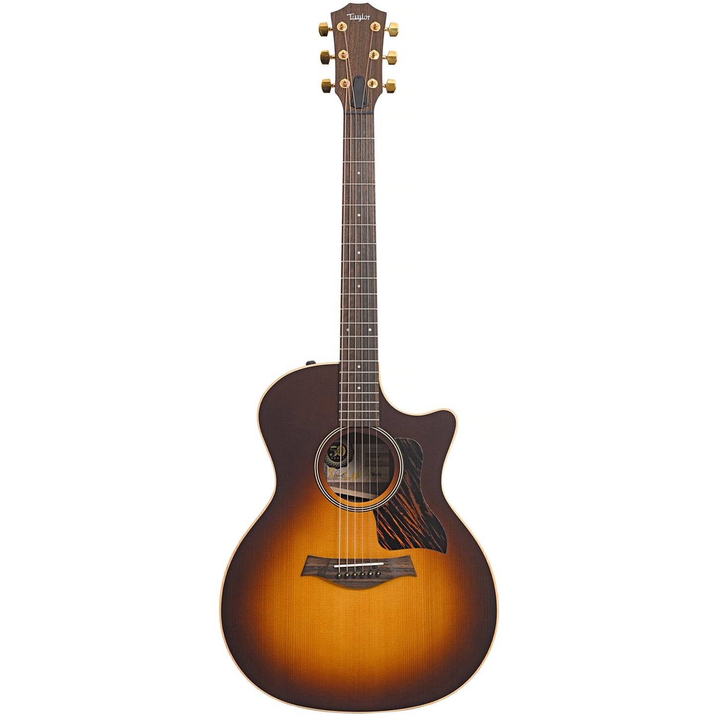 Full front of Taylor 50th Anniversary AD14ce-SB LTD Acoustic 