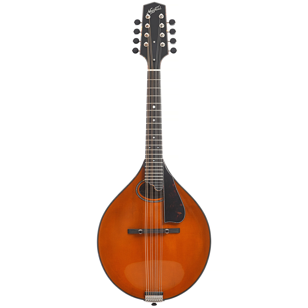 Full front of Northfield Workshop NFMSP-A4 A4 Special Mandolin