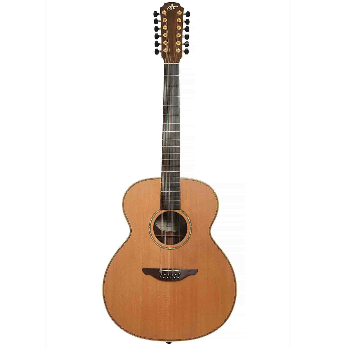 Case of Avalon L32 12-String Acoustic Guitar