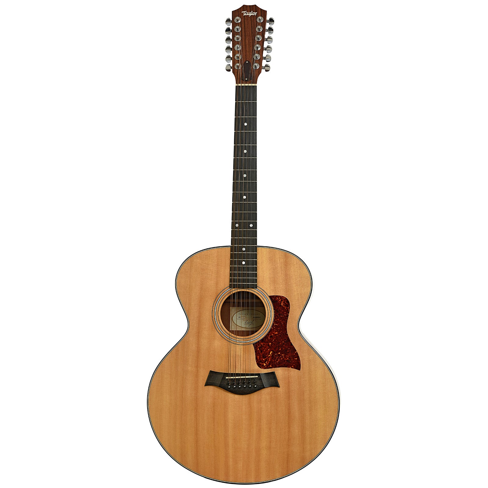 Full front of Taylor 355 12-String Acoustic Guitar 