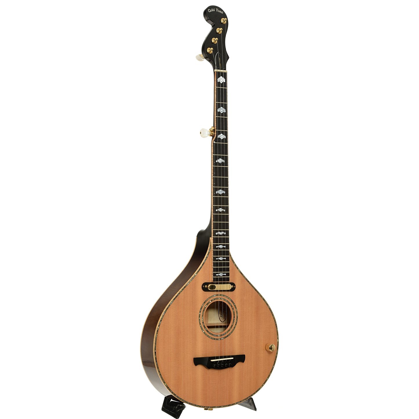 full front and side of Gold Tone Pat Cloud Banjola  