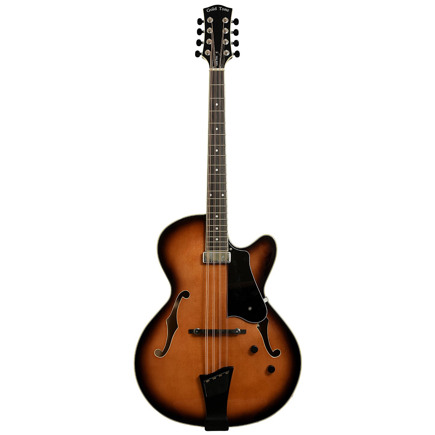 Full front of Gold Tone Acoustic-Electric Mandocello 