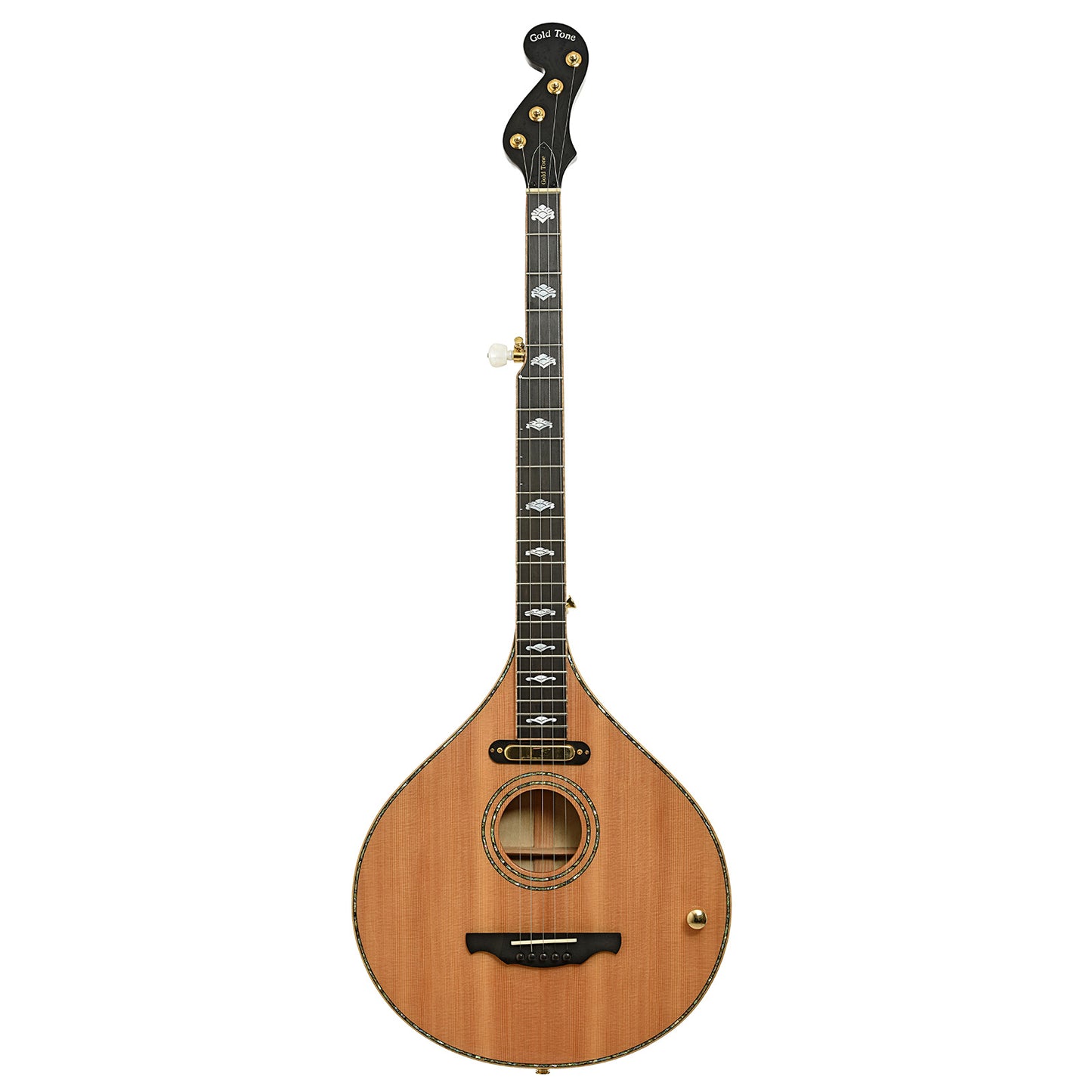 Full front of  Gold Tone Pat Cloud Banjola 
