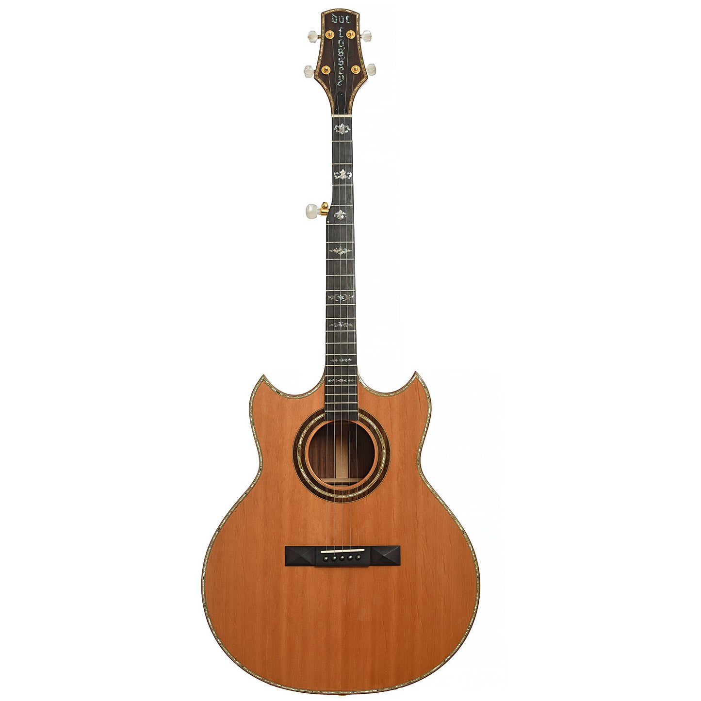 Full front of Doc Fossey Model 2 Banjitar