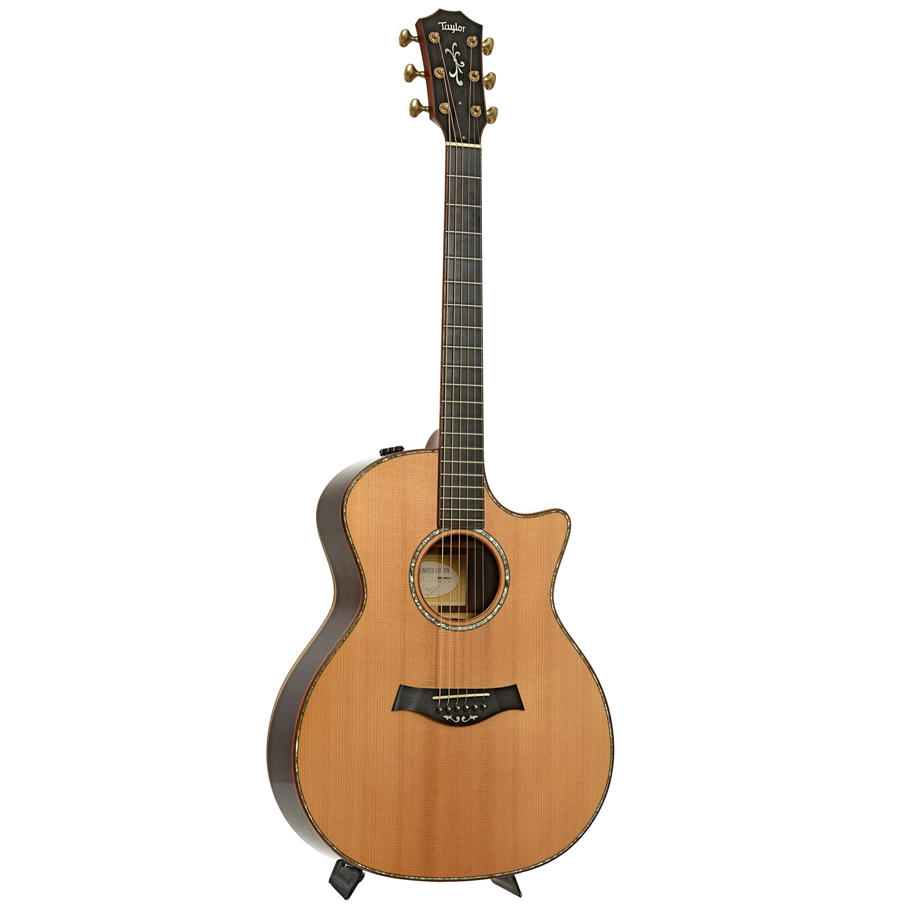 Full front and side of Taylor GA Cocobolo Fall Limited Edition Acoustic-Electric Guitar 