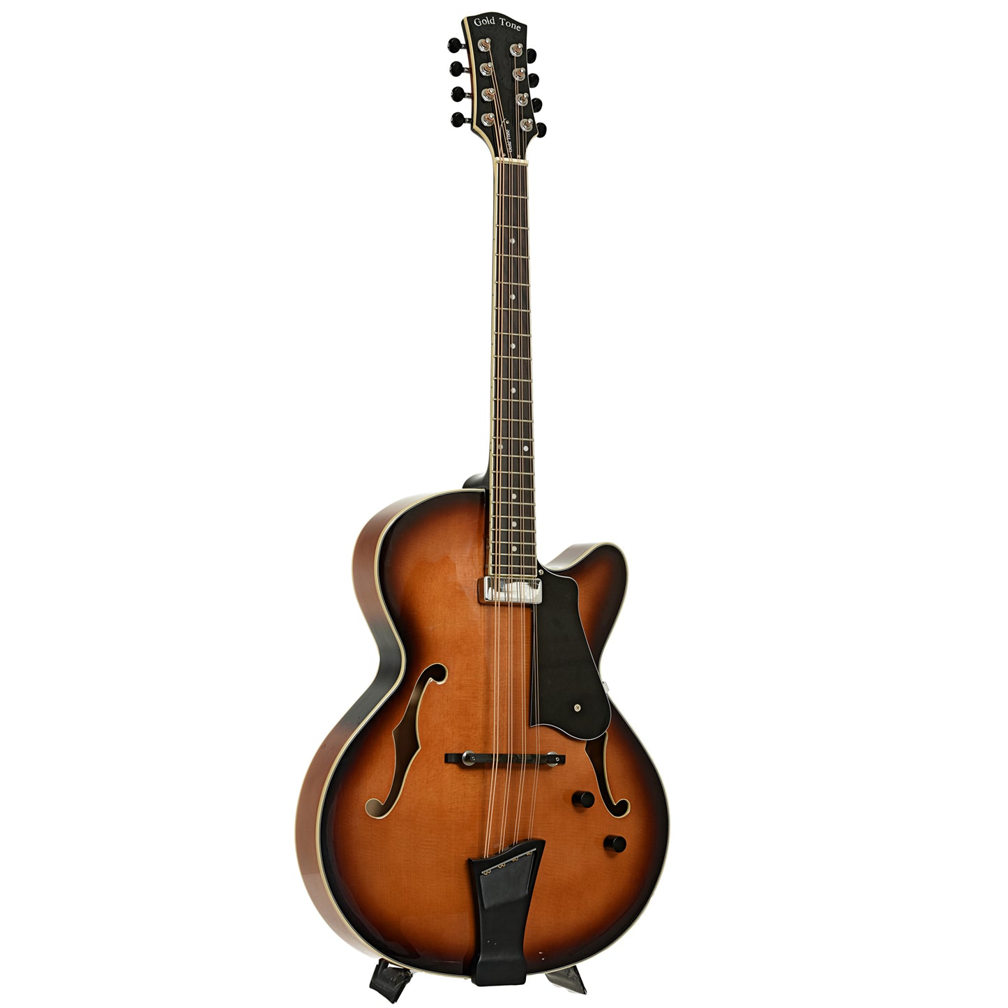 Full front and side of Gold Tone Acoustic-Electric Mandocello