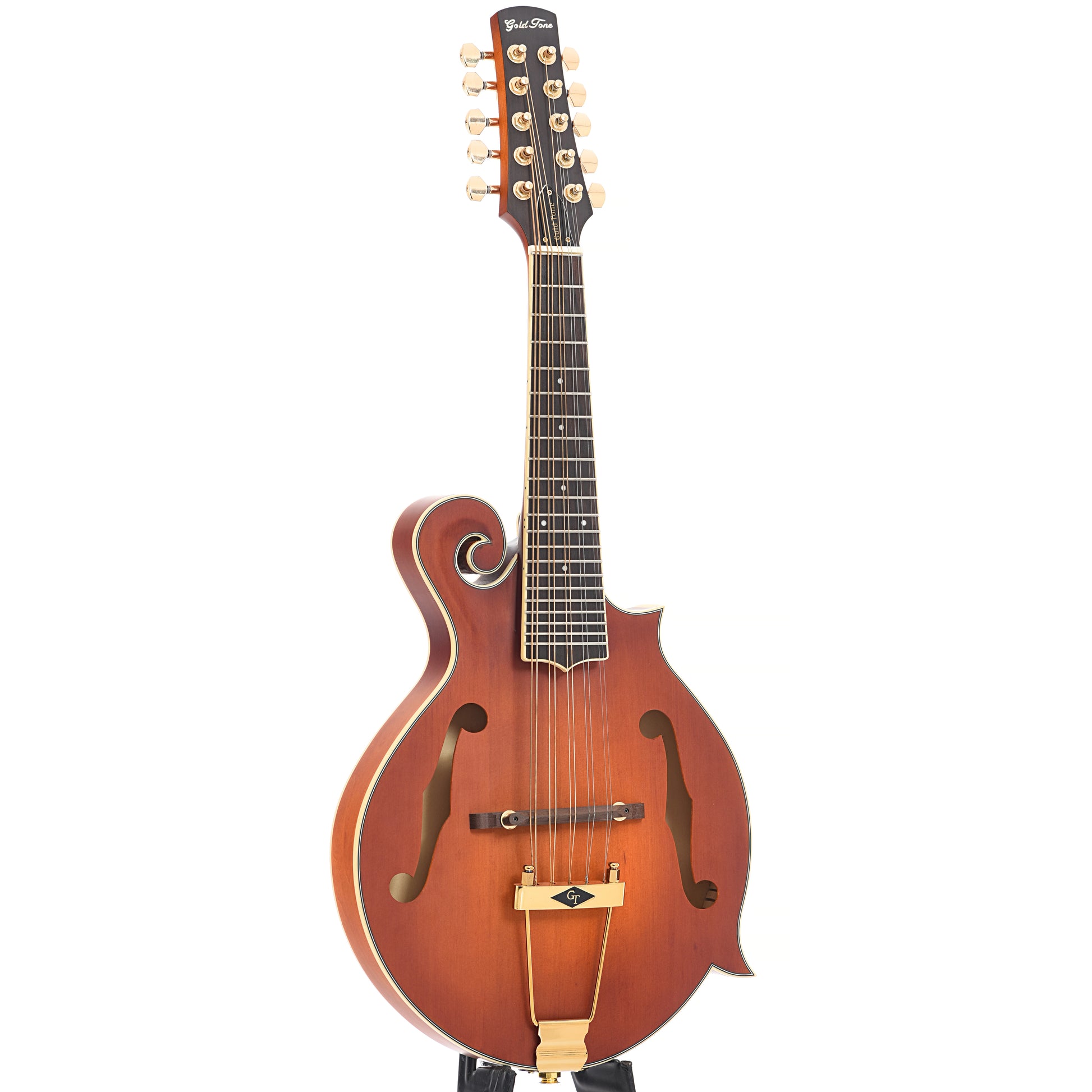 Full front of Gold Tone F-10 10-String Mandolin 
