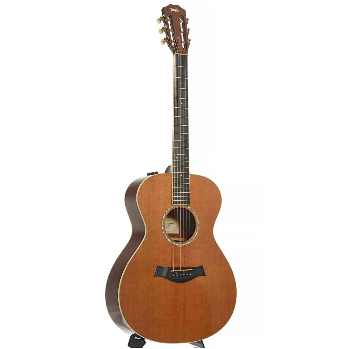 Full front and side of Taylor GC5