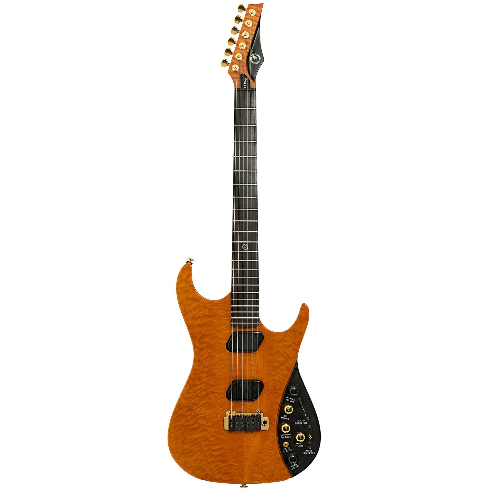 Moog E-1 Paul Vo Collector's Edition Electric Guitar (2008) – Elderly Instruments