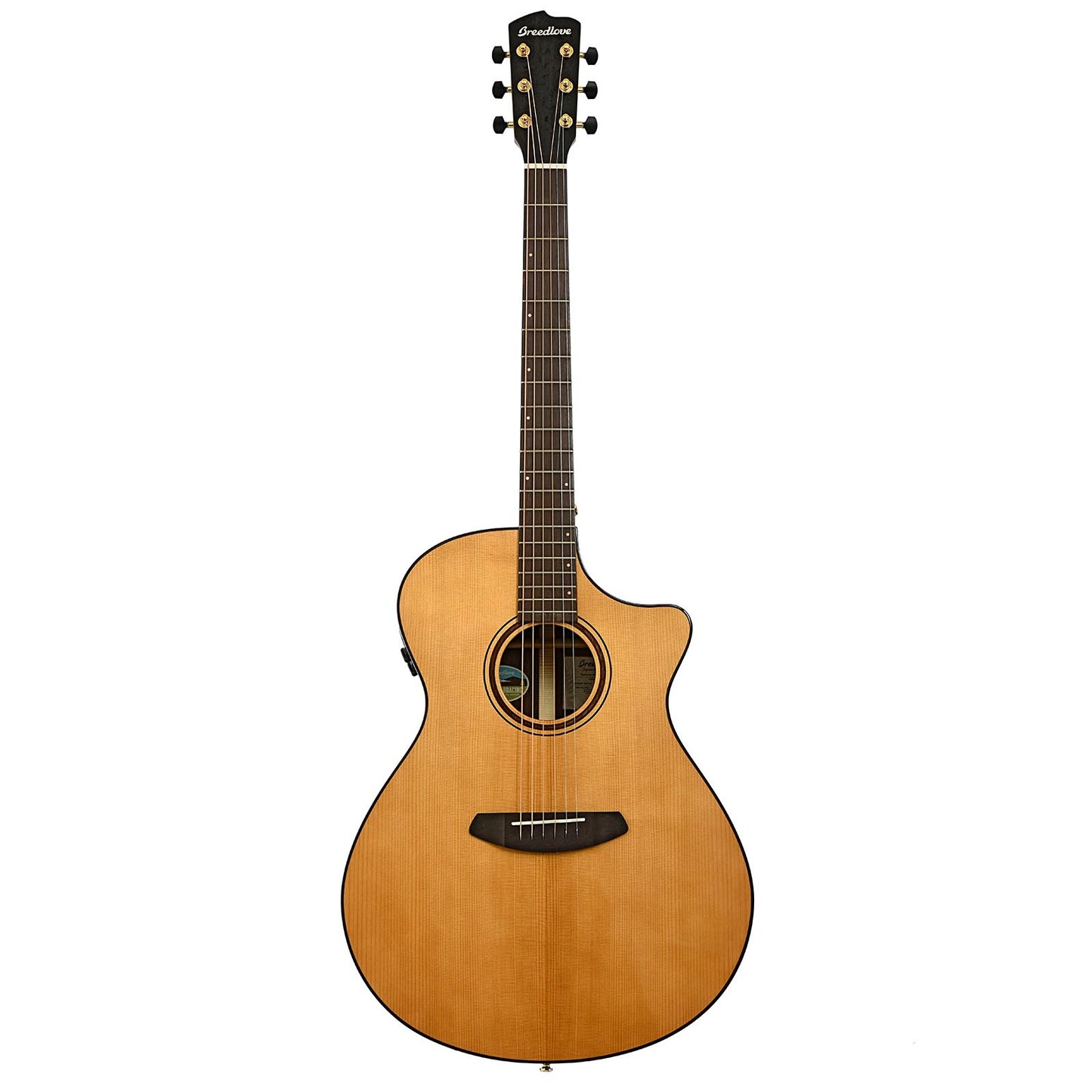 Full front and side of Breedlove Performer Pro Concerto Aged Toner CE European-EI Rosewood Acoustic Electric Guitar