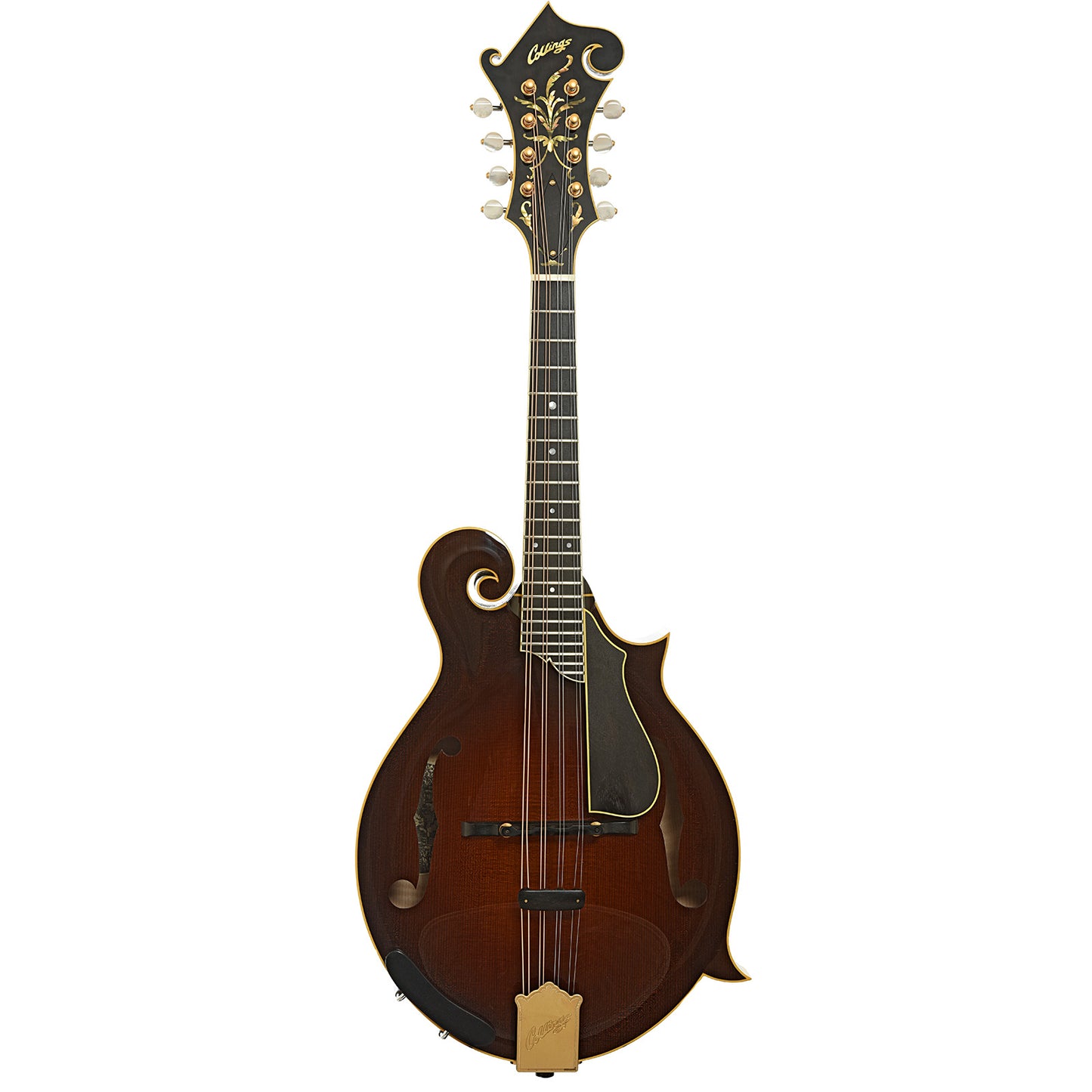 Full front and side of Collings MF-5 Varnish Mandolin 