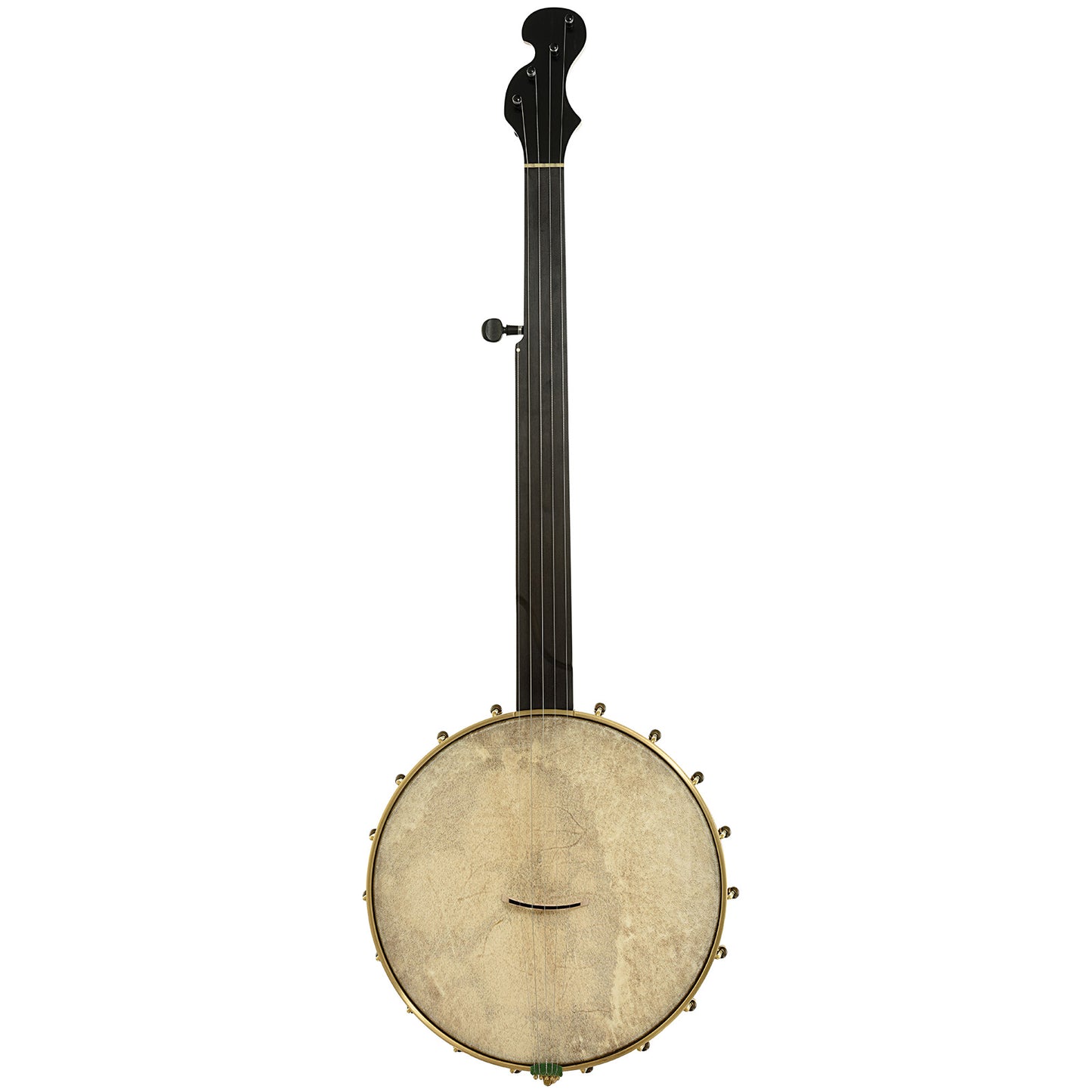 Full  front of Chuck Lee Hawkins Spring 12" Fretless Openback Banjo, #876