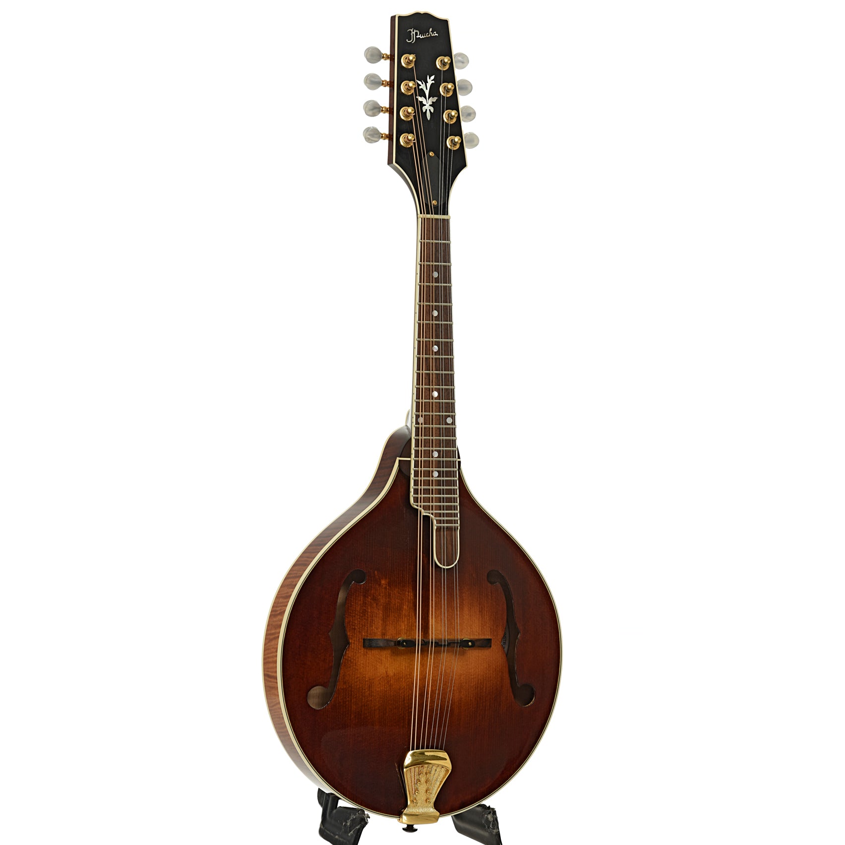 Full front and side of Prucha A5 Standard Mandolin