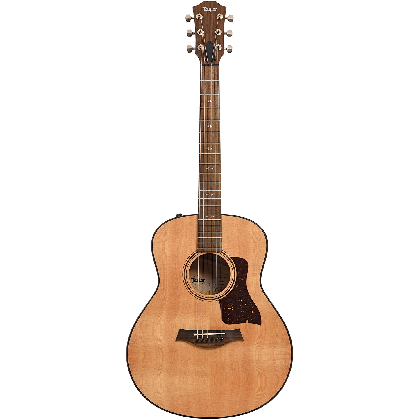 Full front of Taylor GTE Urban Ash Acoustic 