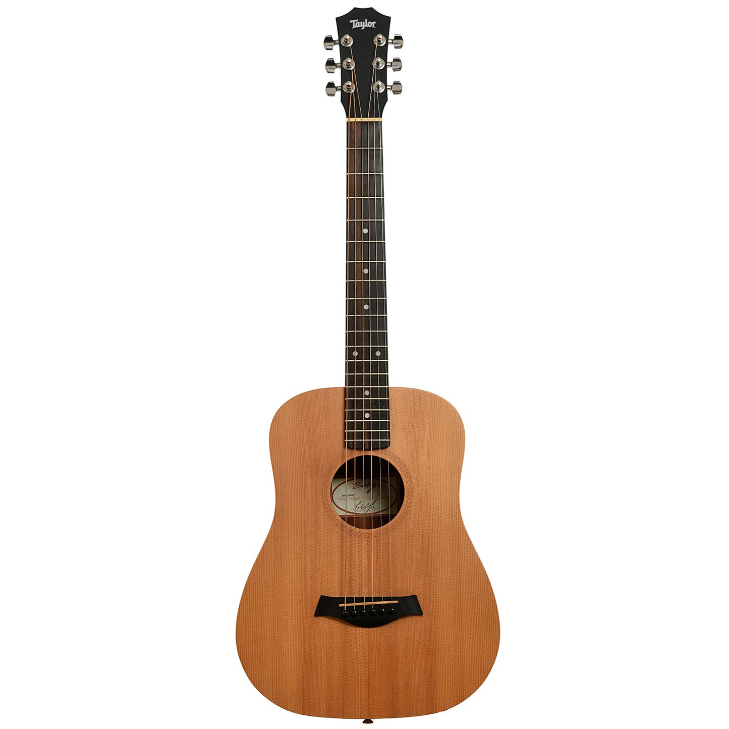 Full front of Taylor Baby 305 Acoustic Guitar                                                                                                                                                                                                       