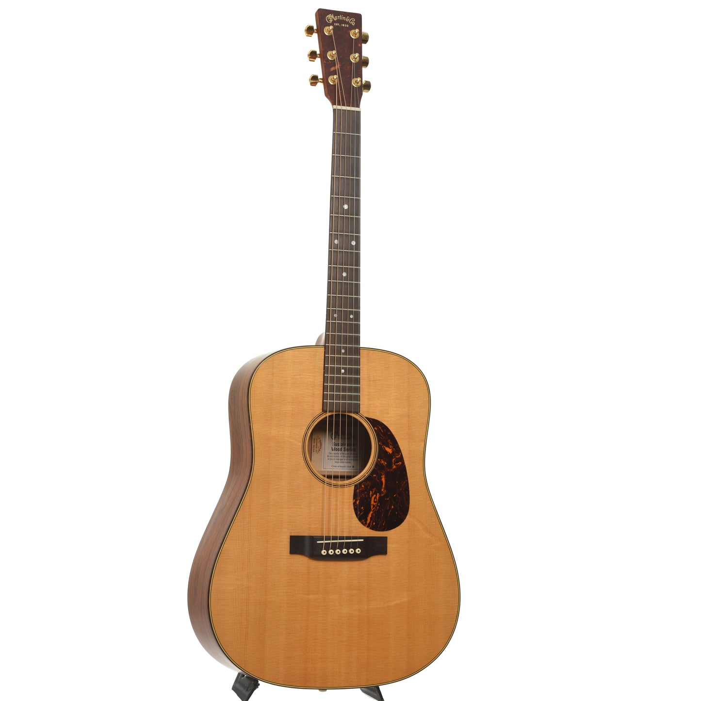 Full front of Martin SWDGT Acoustic Guitar  