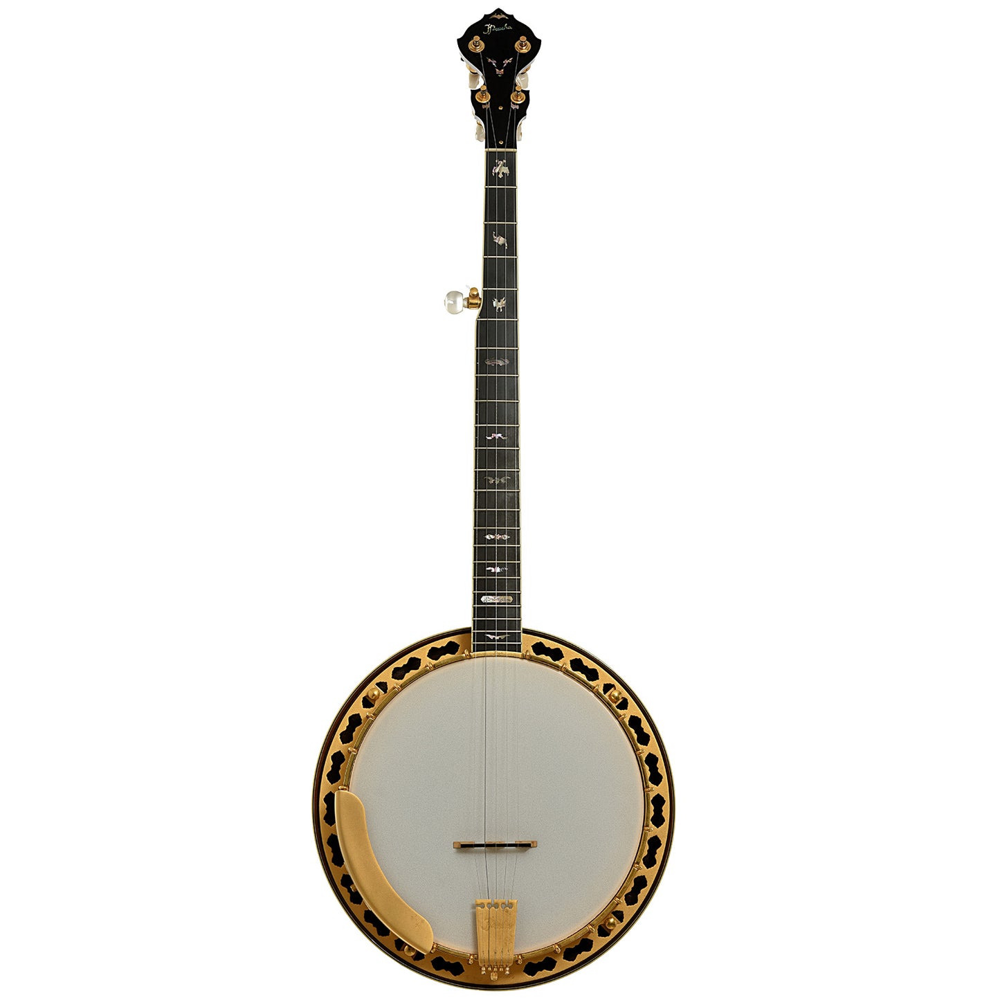 Full front of Prucha Bat Custom Resonator Banjo