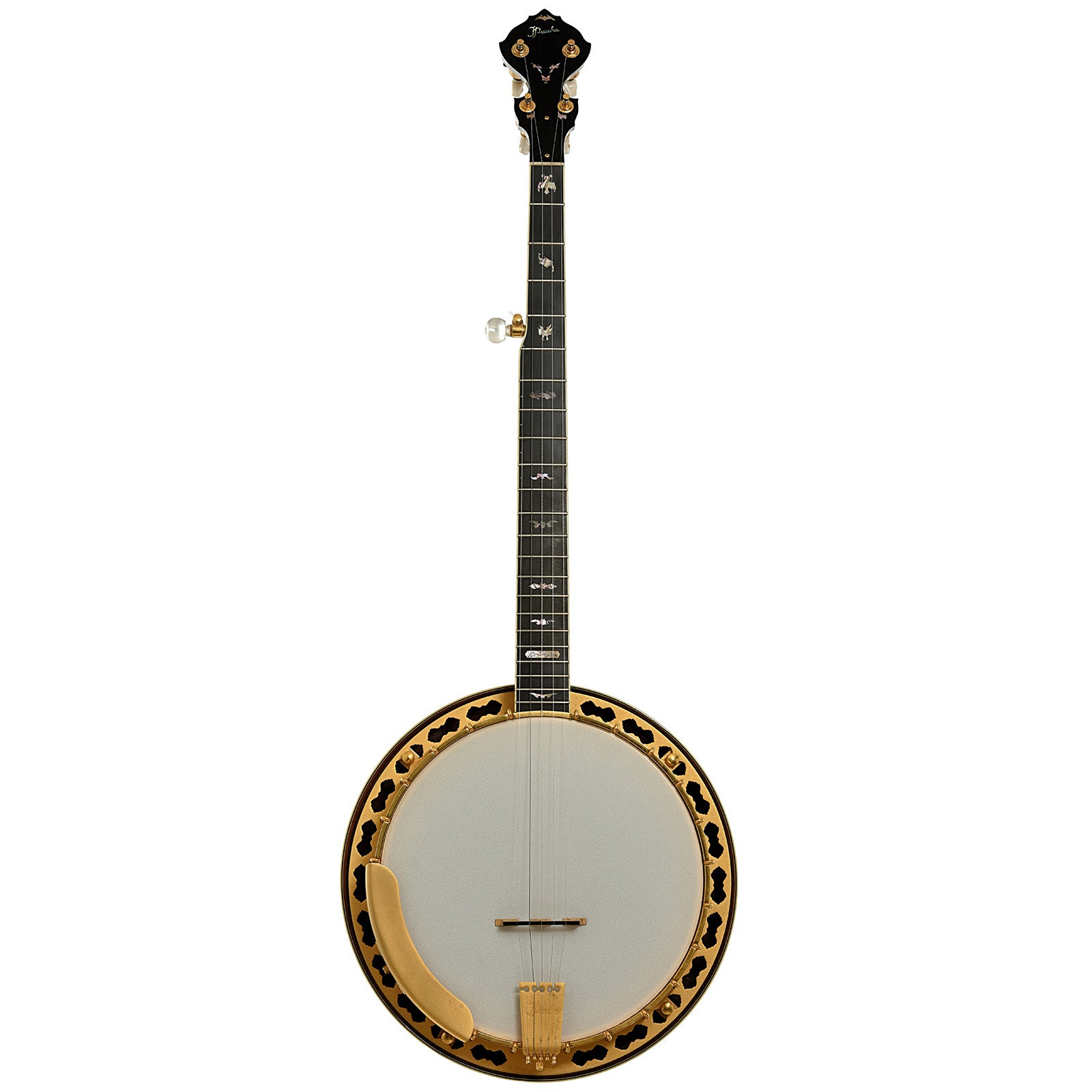 Full front of Prucha Bat Custom Resonator Banjo