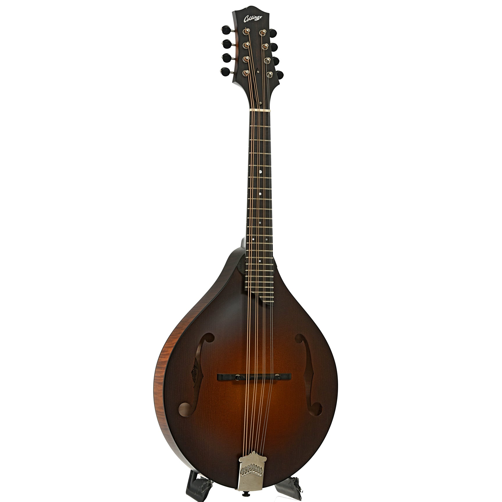 Full front and side of Collings MT Mandola