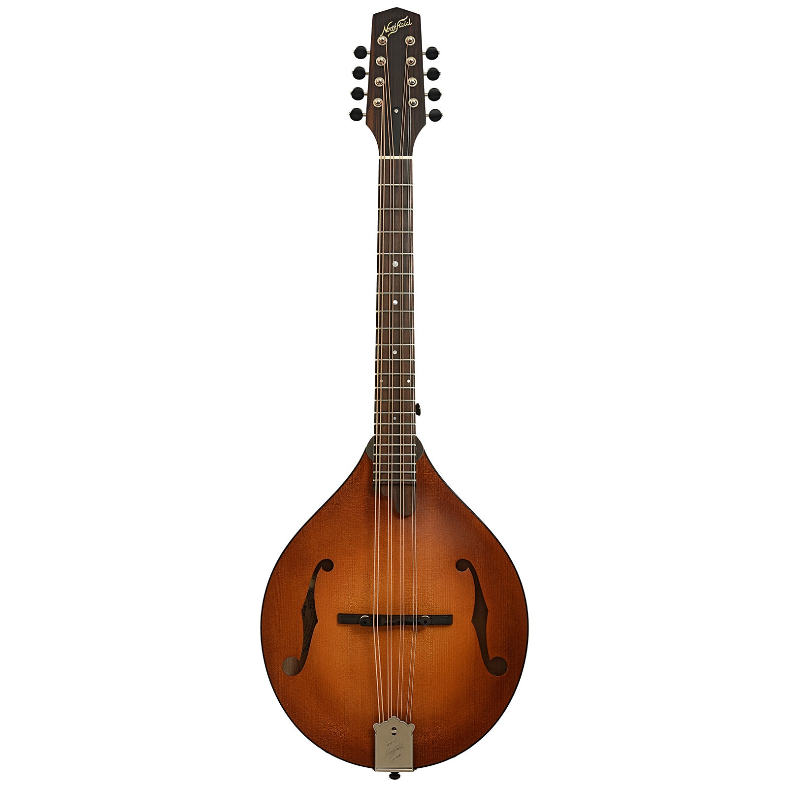 Full front of Northfield Wavelength Octave Mandolin & Gig Bag, Ox Amber