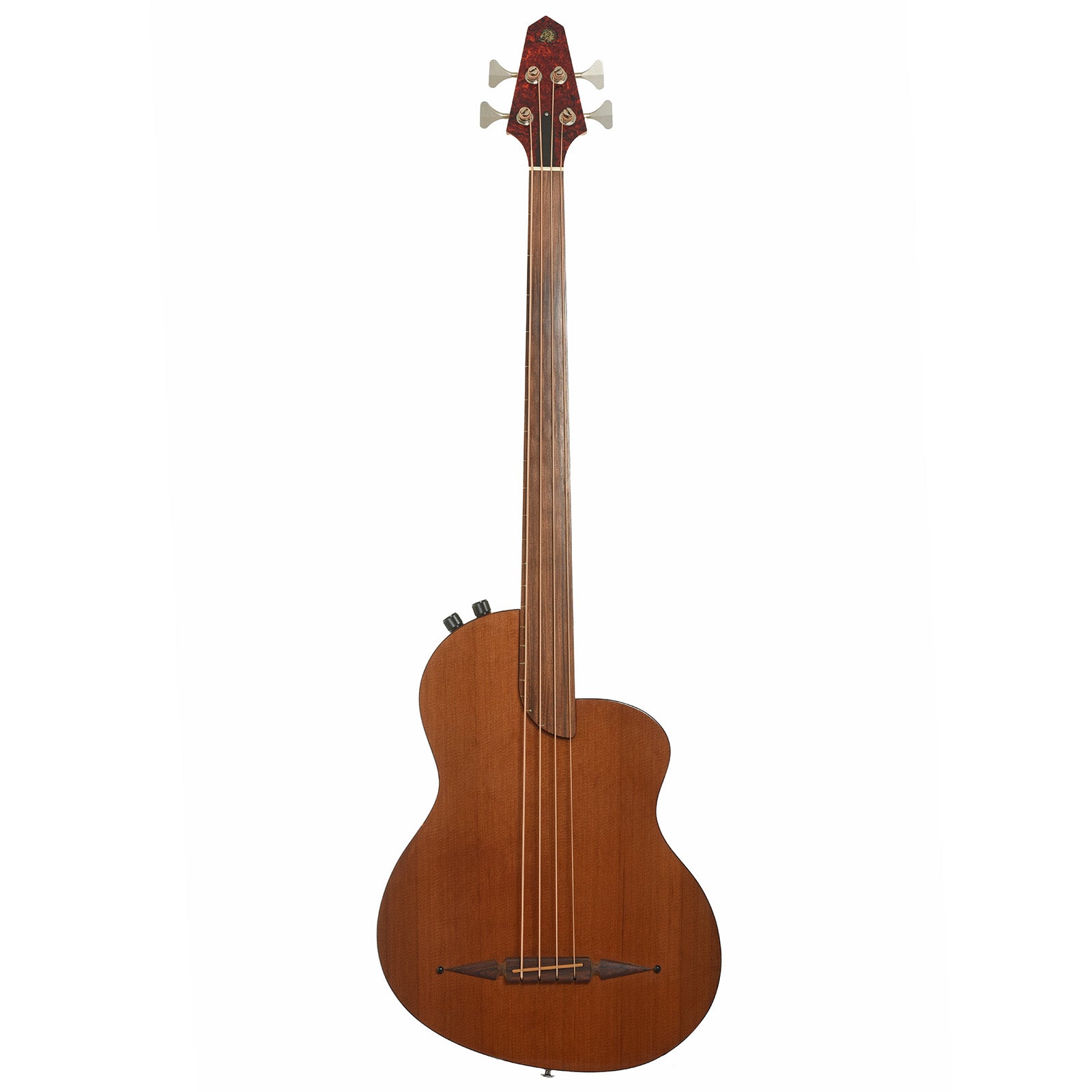 Full front of Rick Turner RB-4-FC Acoustic-Electric Bass