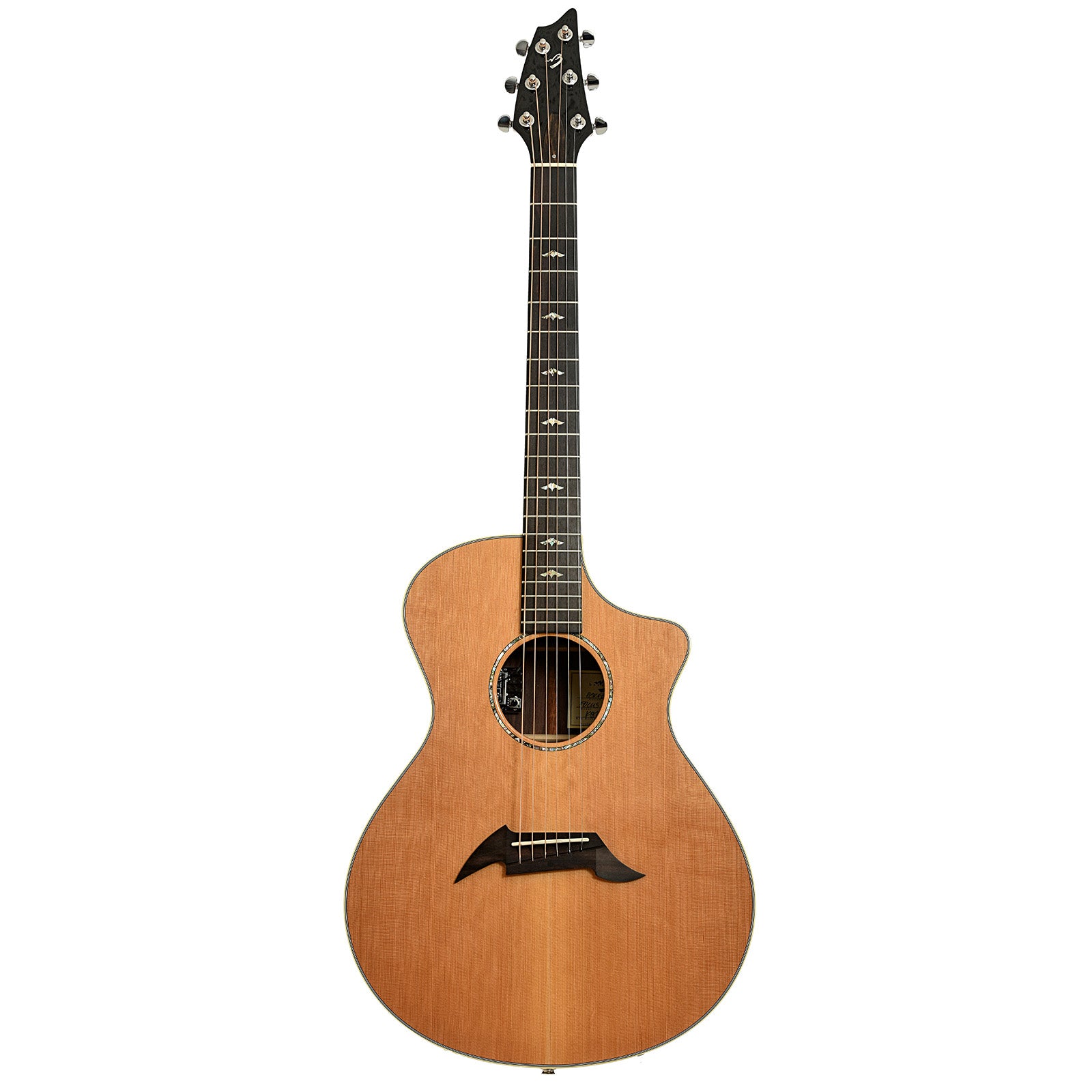 Full front of Breedlove Focus Acoustic Guitar