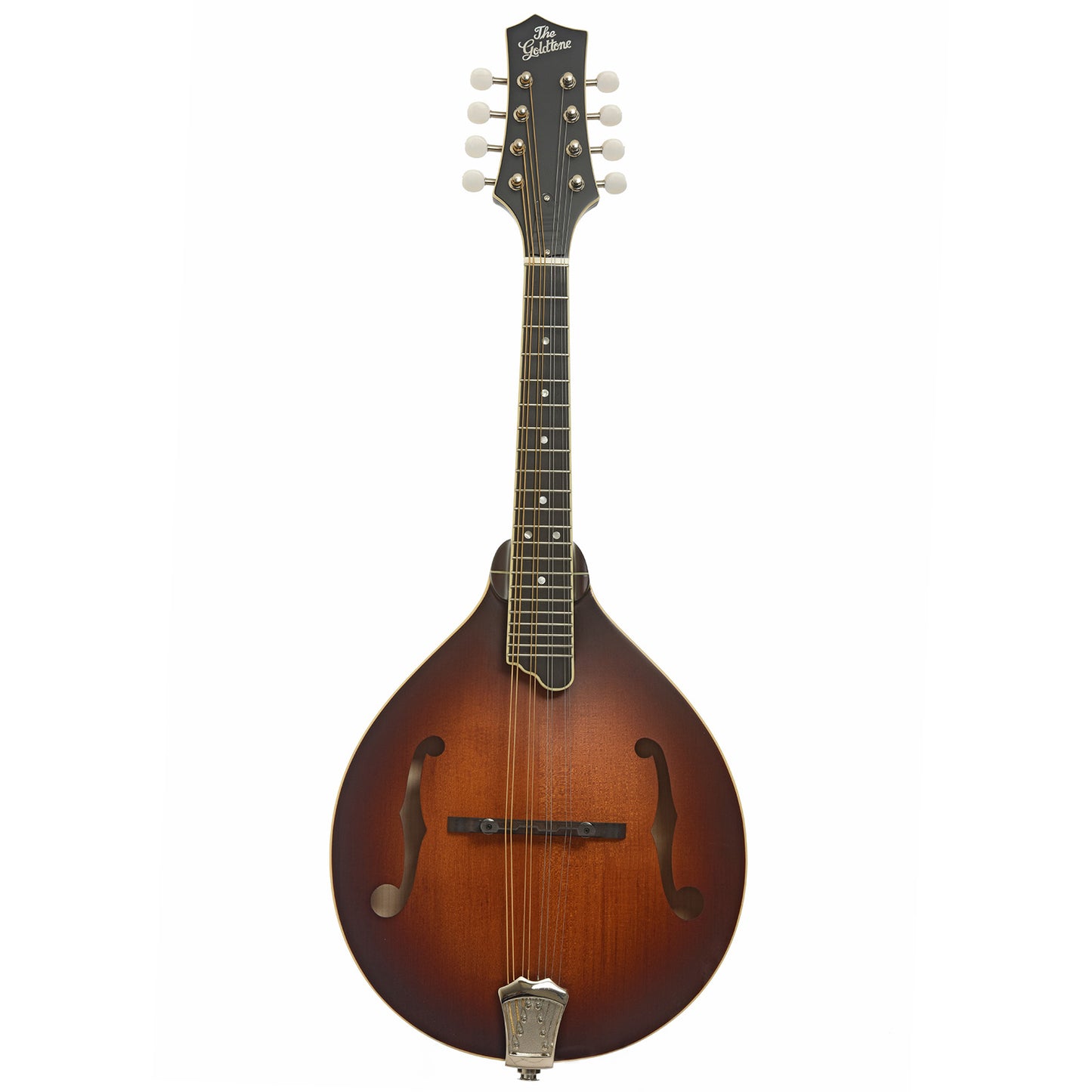 Gold Tone GM-55 A-Style Mandolin & Case