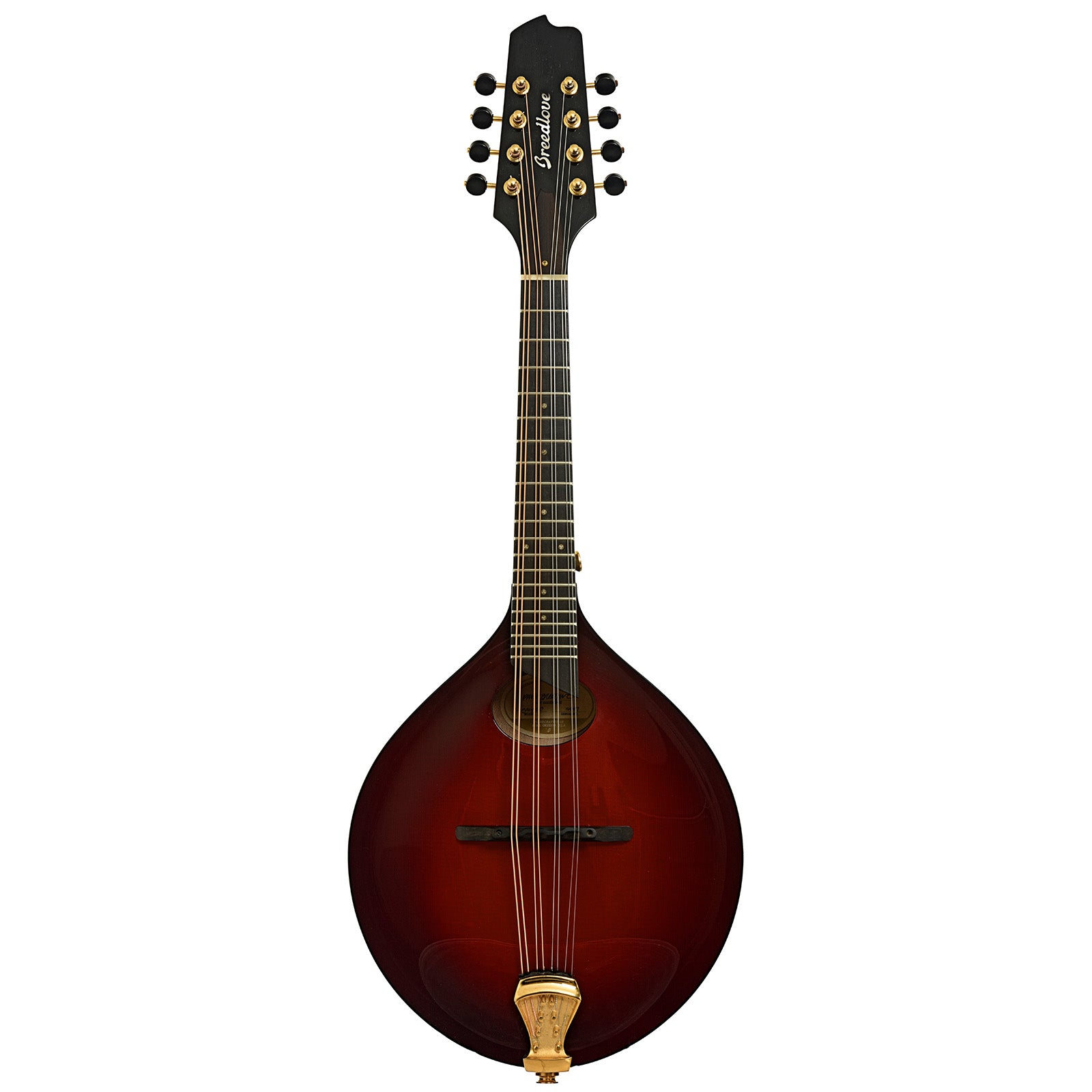 Full front of Breedlove Legacy OO A-Style Mandolin