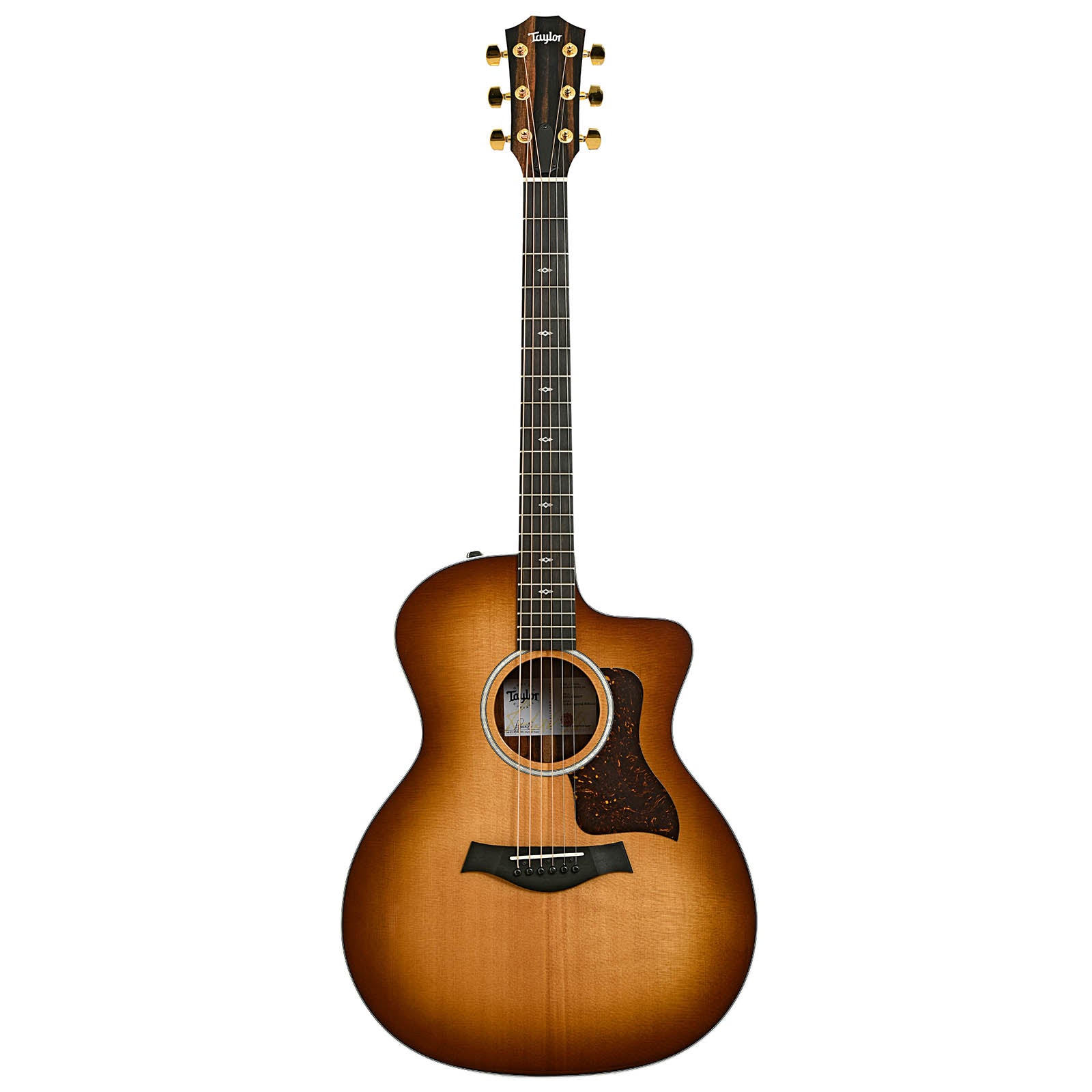 Full front of Taylor 214ce Limited Edition Tigerwood Acoustic Guitar