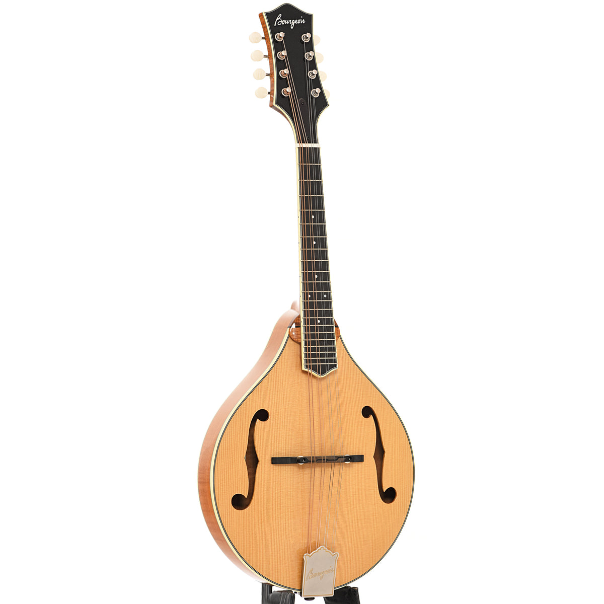Bourgeois M5A Mandolin – Elderly Instruments