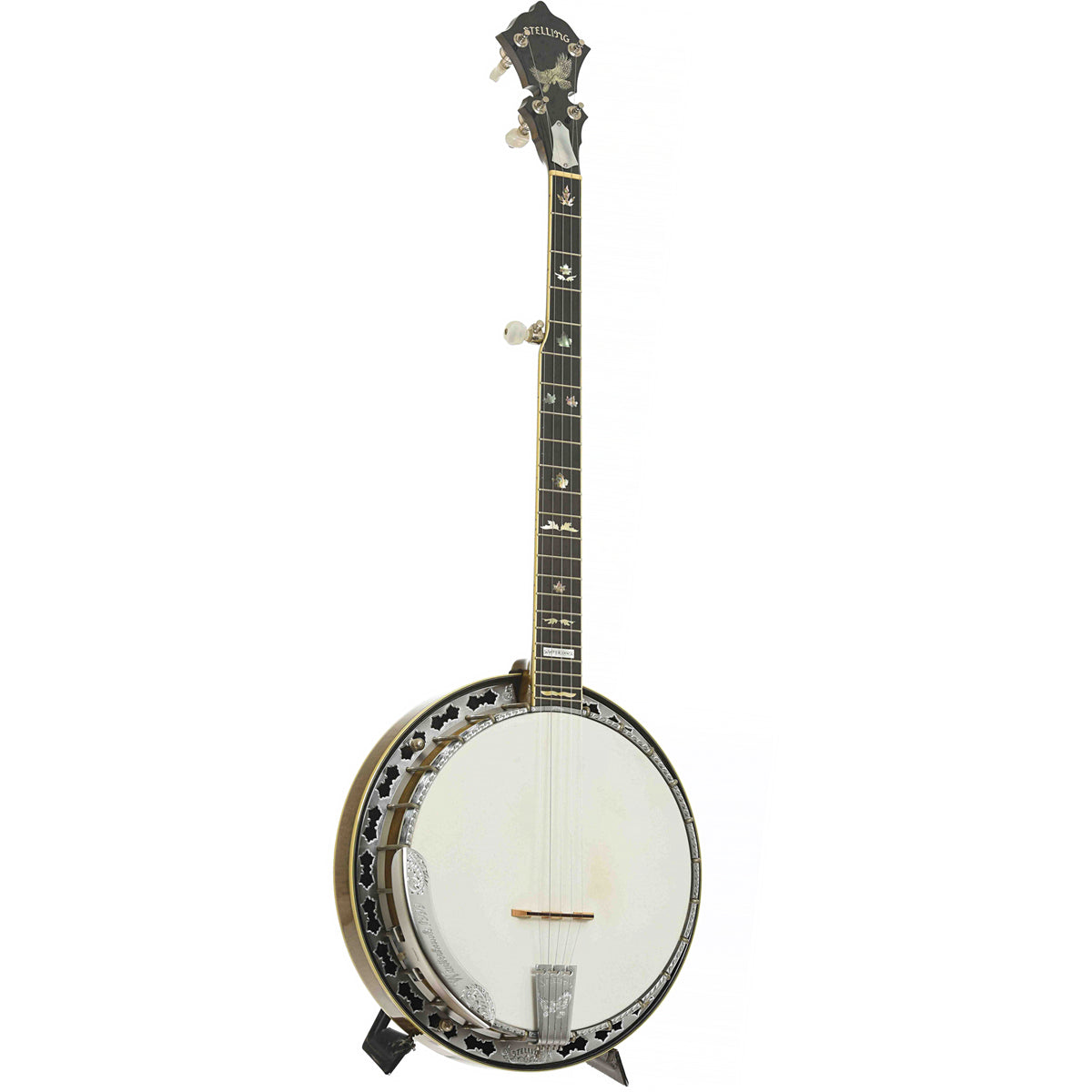 Full Front & Side of Stelling Winterhawk #7 Five-String Resonator Banjo