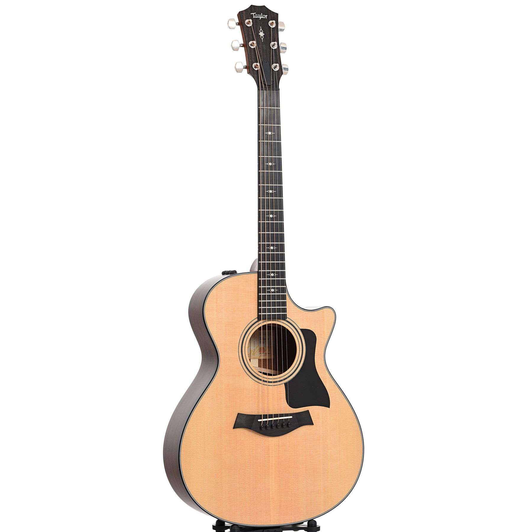 Full front and side of Taylor 312-ce V-Class Acoustic-Electric Guitar