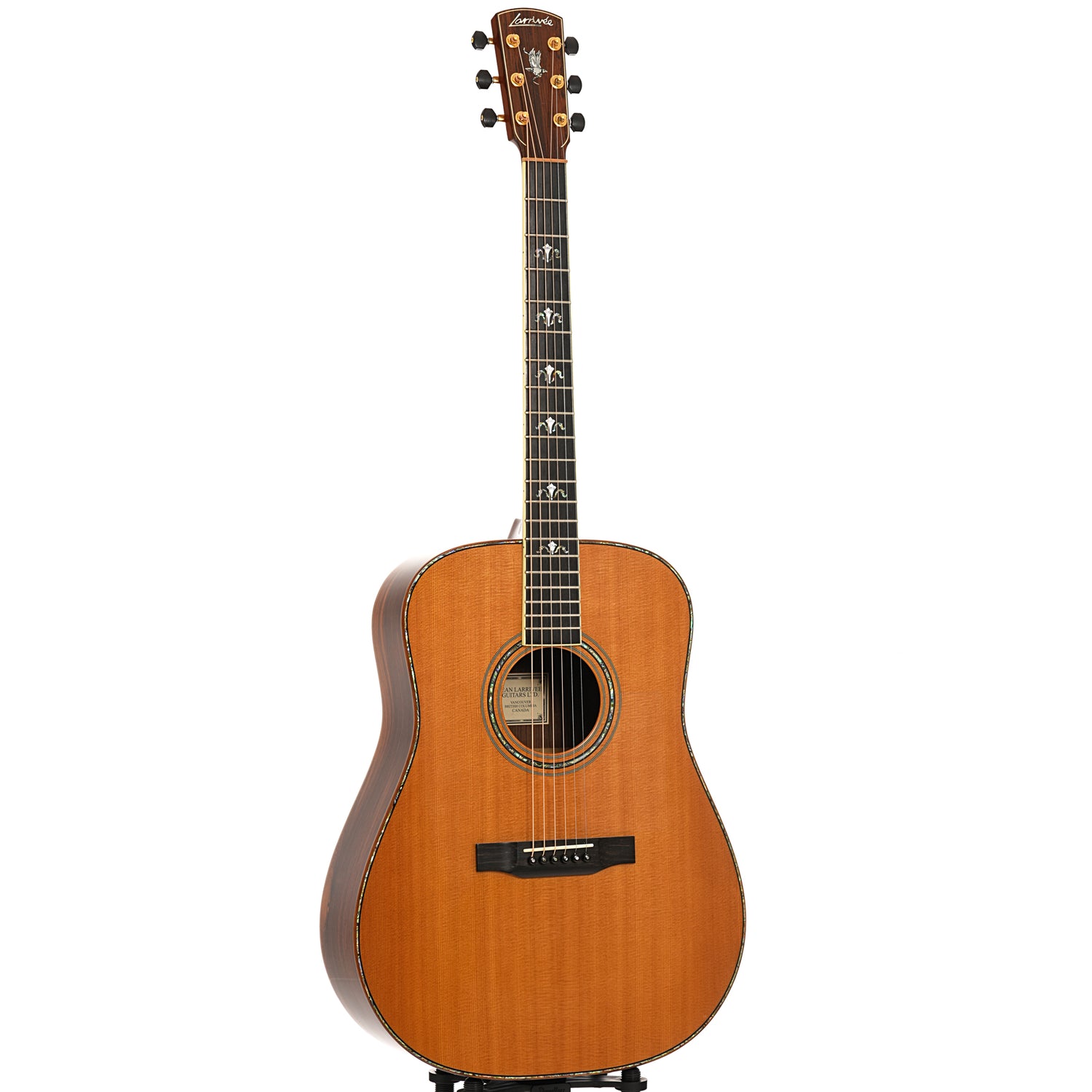 Full front and side of Larrivee D-10 Brazilian Acoustic