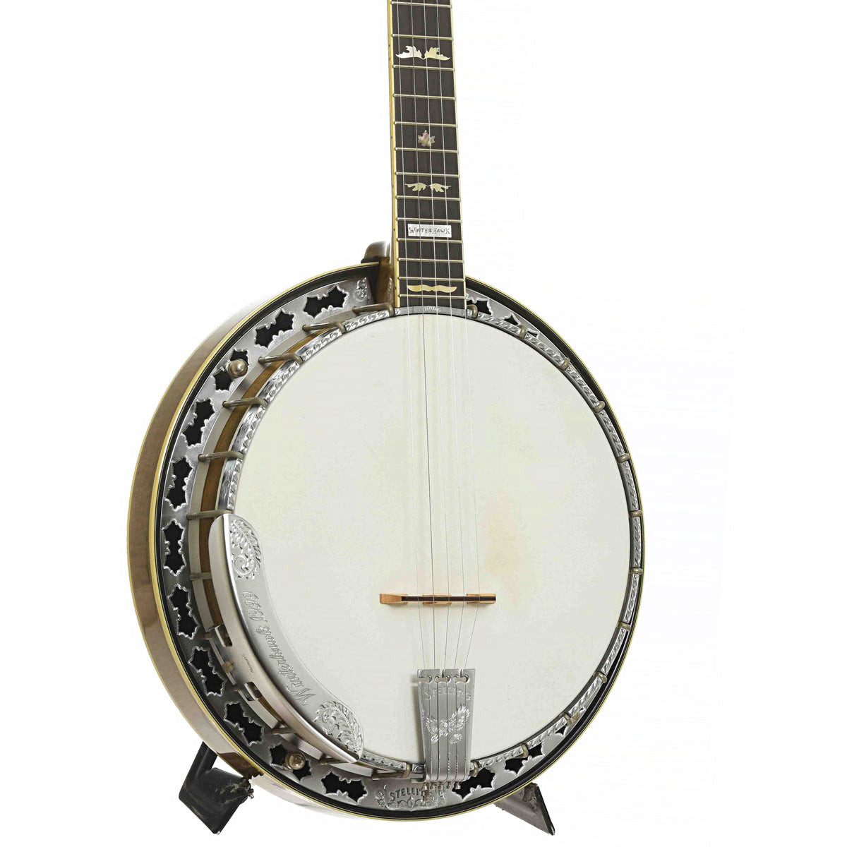 Front & Side of Stelling Winterhawk #7 Five-String Resonator Banjo