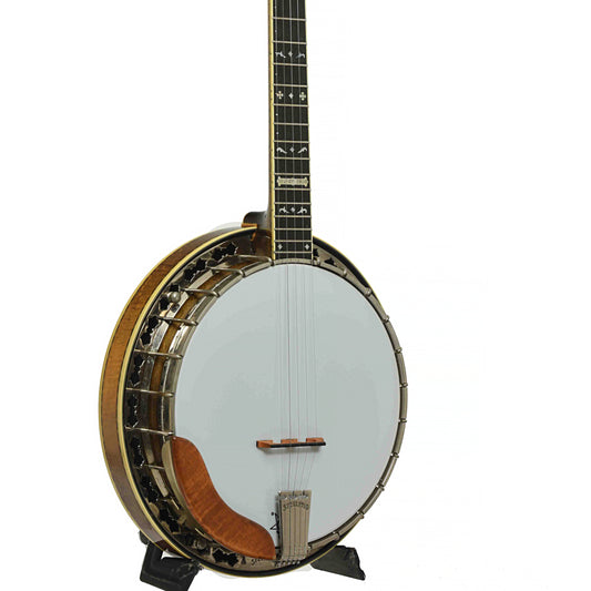 Stelling Golden Cross Resonator Banjo (1997)