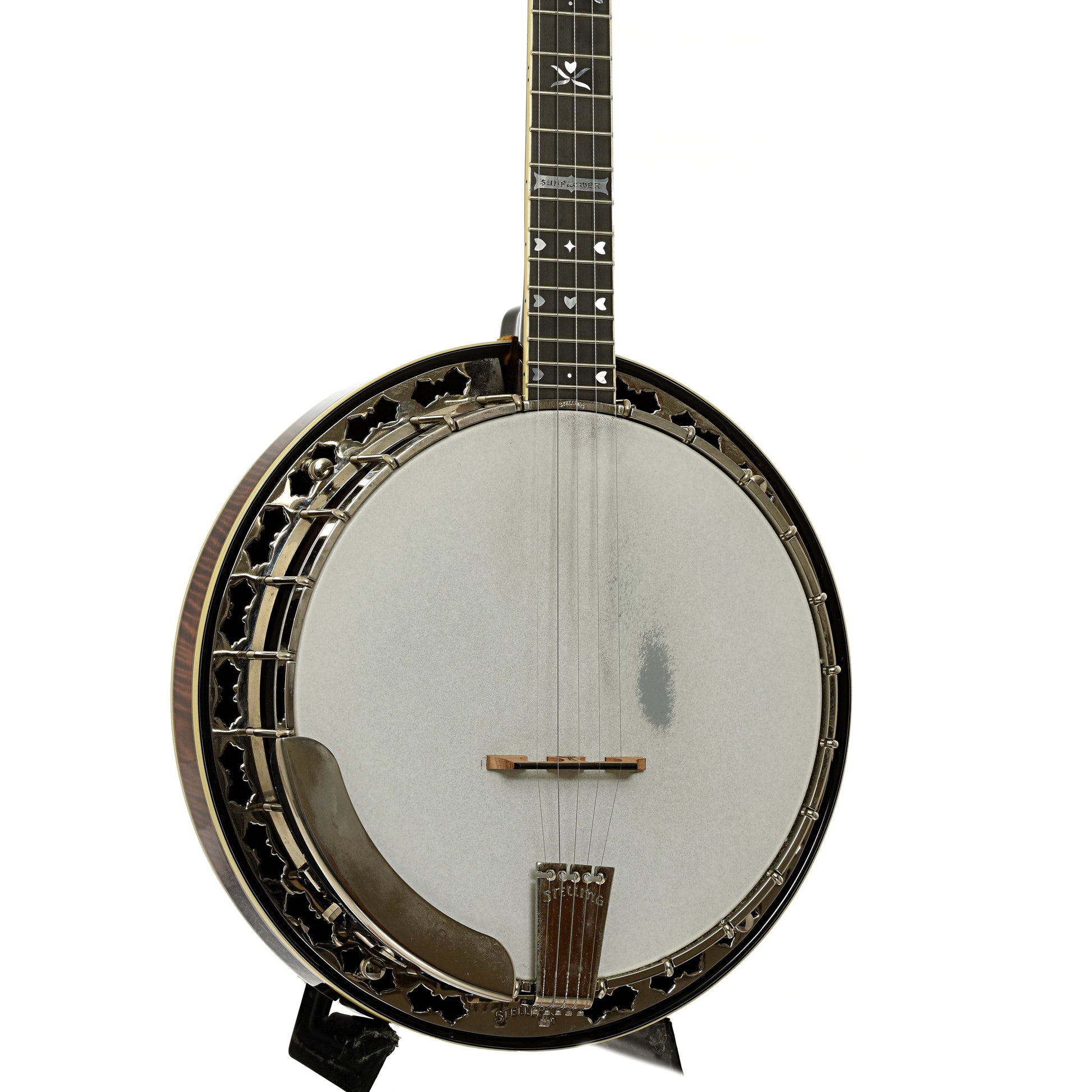 Front and side of Stelling Sunflower Resonator Banjo 