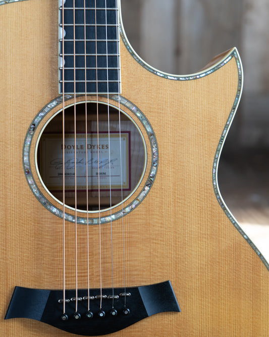 Showroom photo of Taylor DDSM Doyle Dykes Signature Model  Guitar (2006)