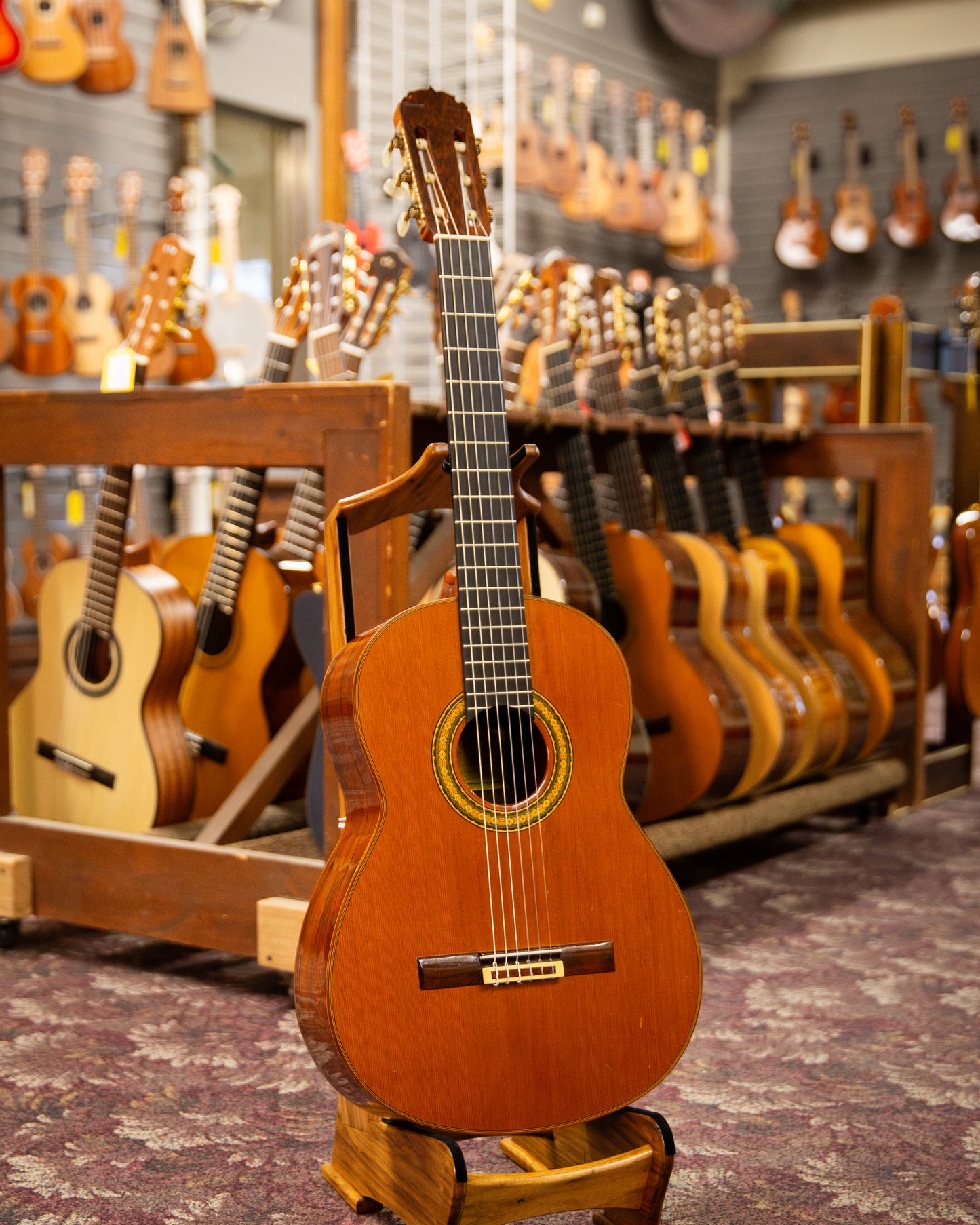 Showroom photo of Lorenzo Pimentel Brazilian Concert No.2 Classical Guitar (1969)