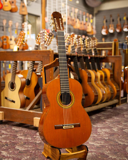 Showroom photo of Lorenzo Pimentel Brazilian Concert No.2 Classical Guitar (1969)