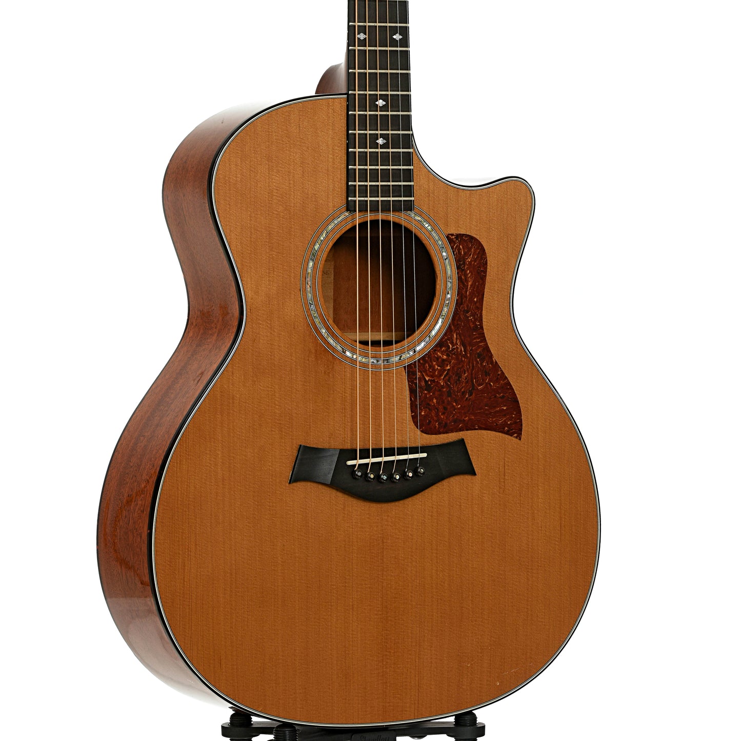 Front and side of Taylor 514-C Acoustic Guitar