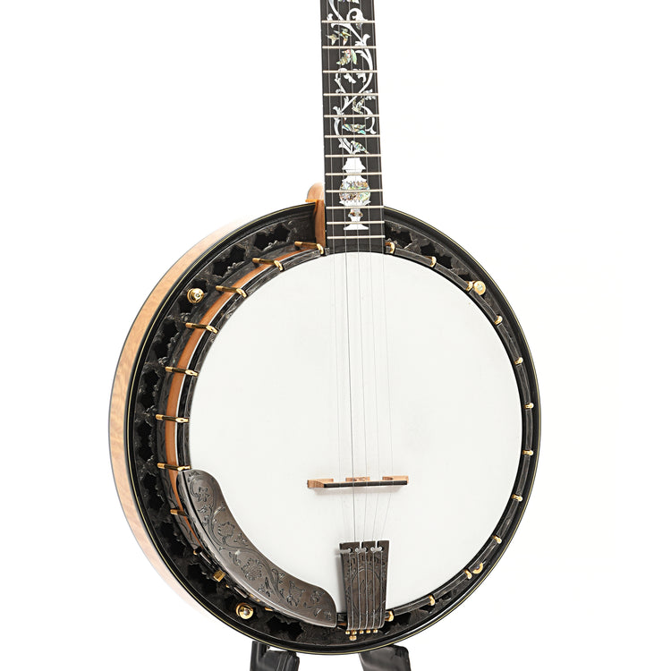Front and side of Stelling Tree of Life Custom Resonator Banjo