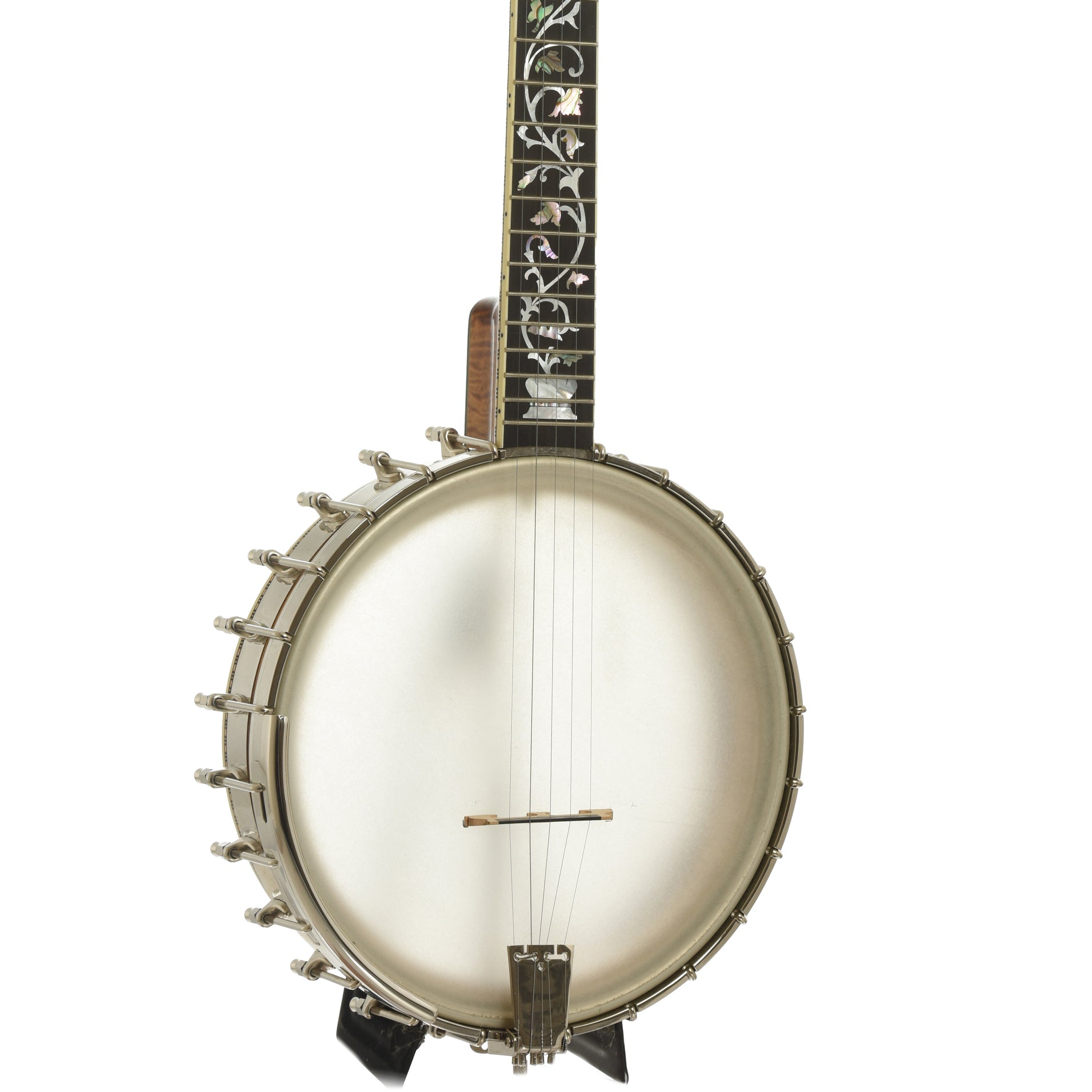 Front and side of Wildwood Balladeer Openback Banjo
