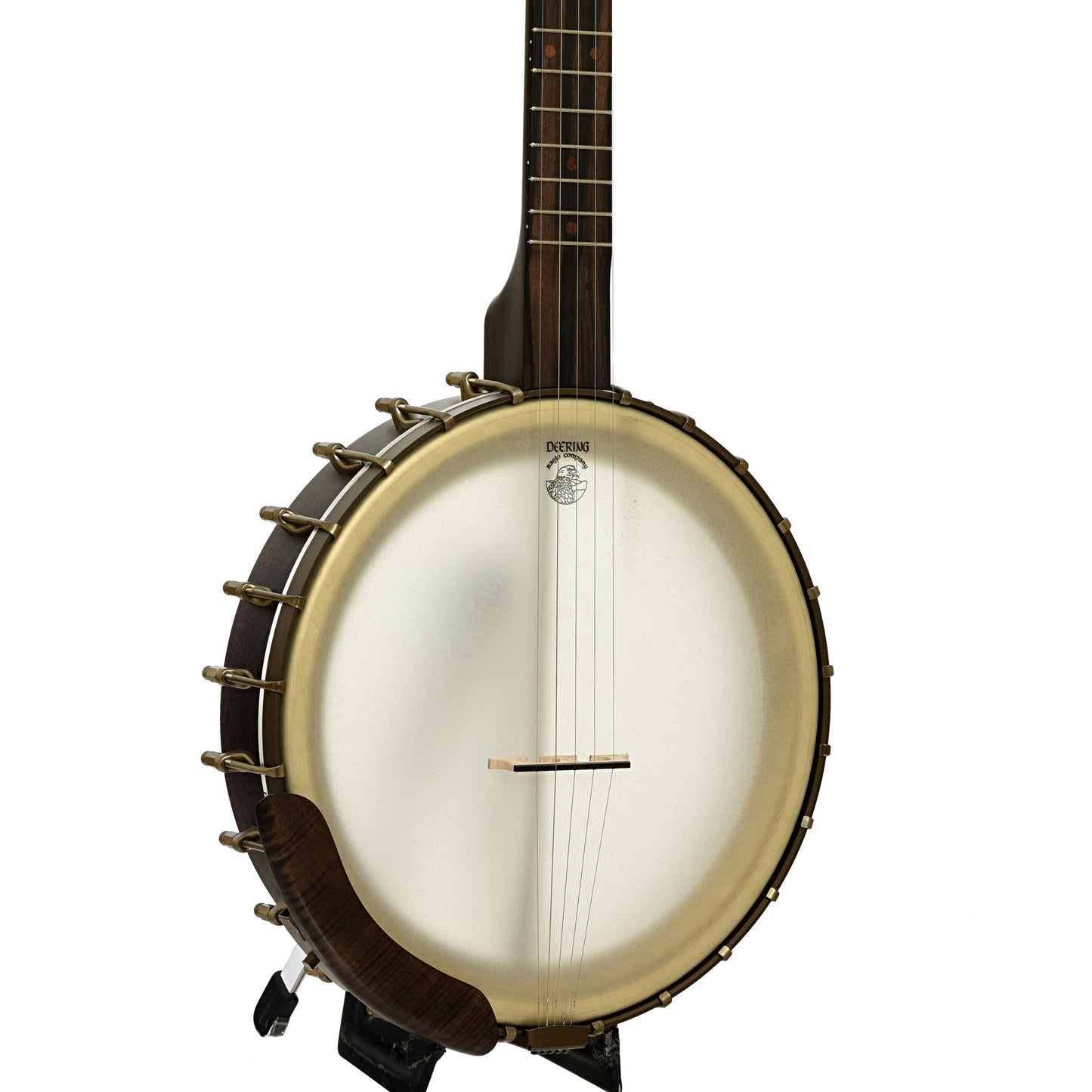 Front and side of Vega Vintage Star 12" Open Back Banjo