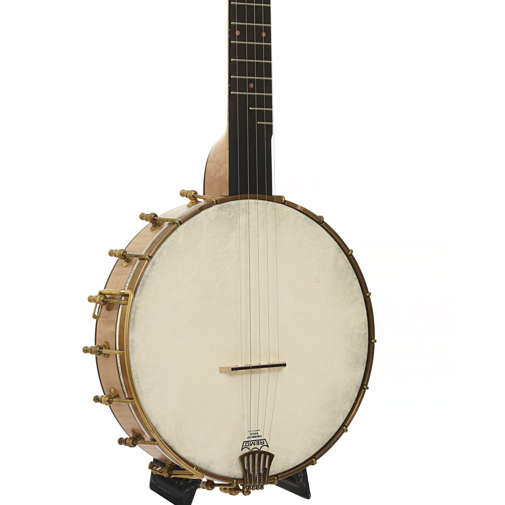 Front and side of Pisgah Laydie Openback Banjo