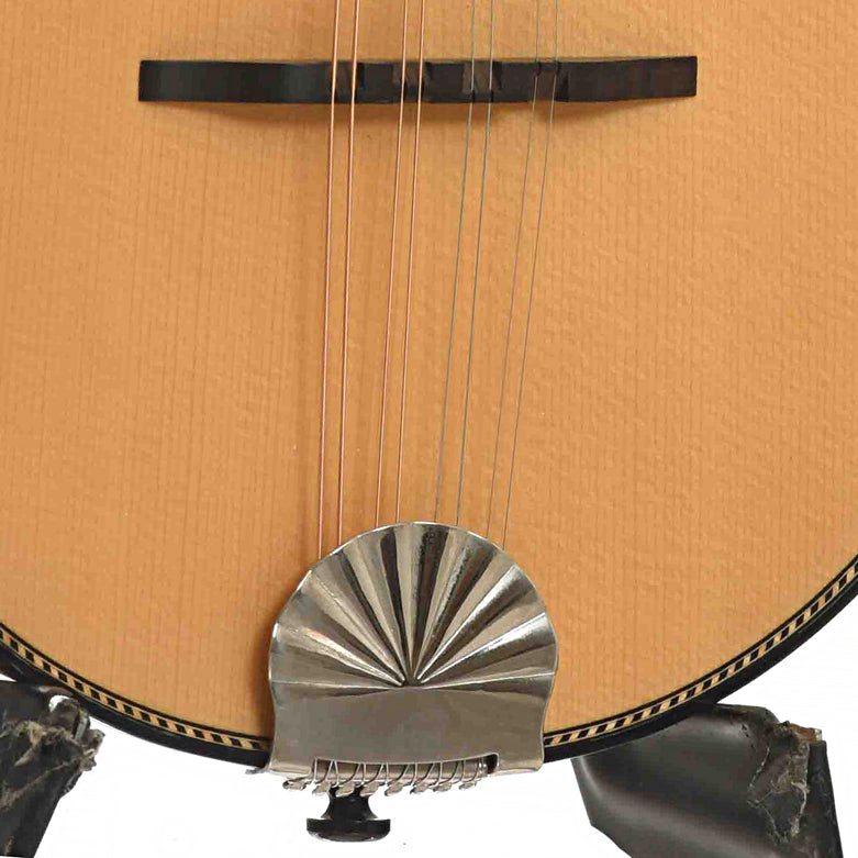 Tailpiece of Flatiron 3MC Mandolin